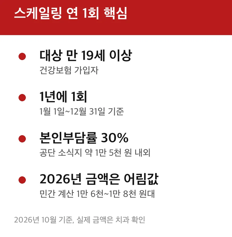 스케일링 연 1회 핵심