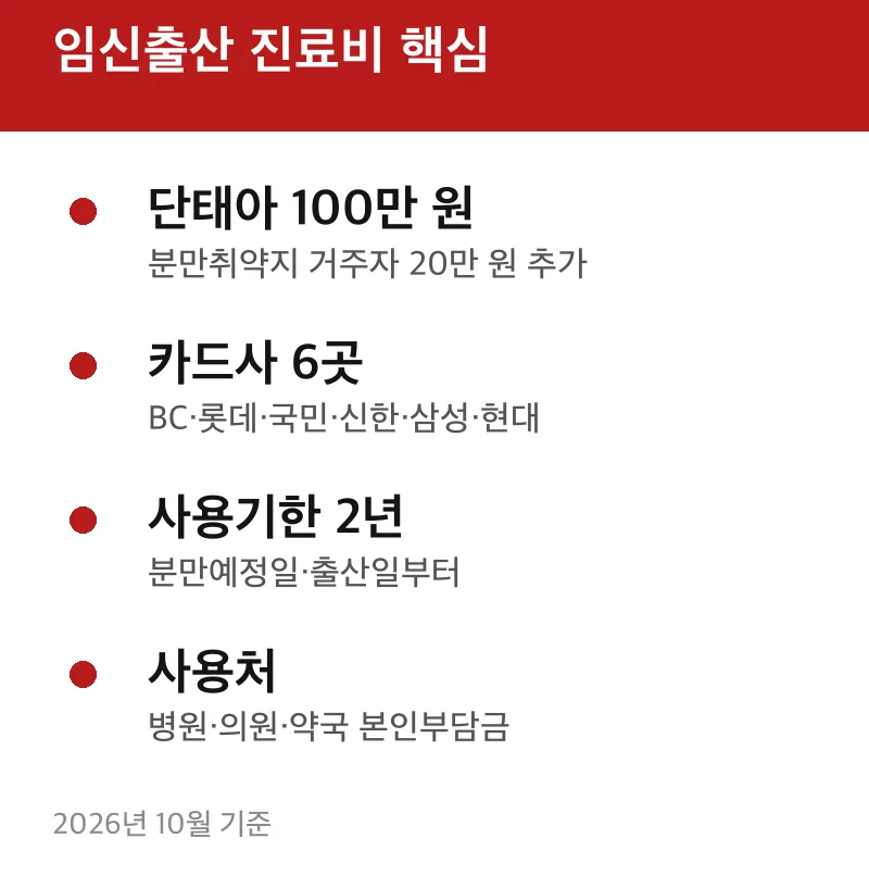 임신출산 진료비 핵심
