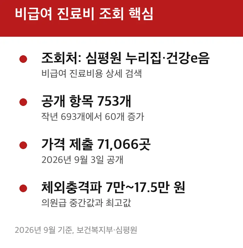 비급여 진료비 조회 핵심